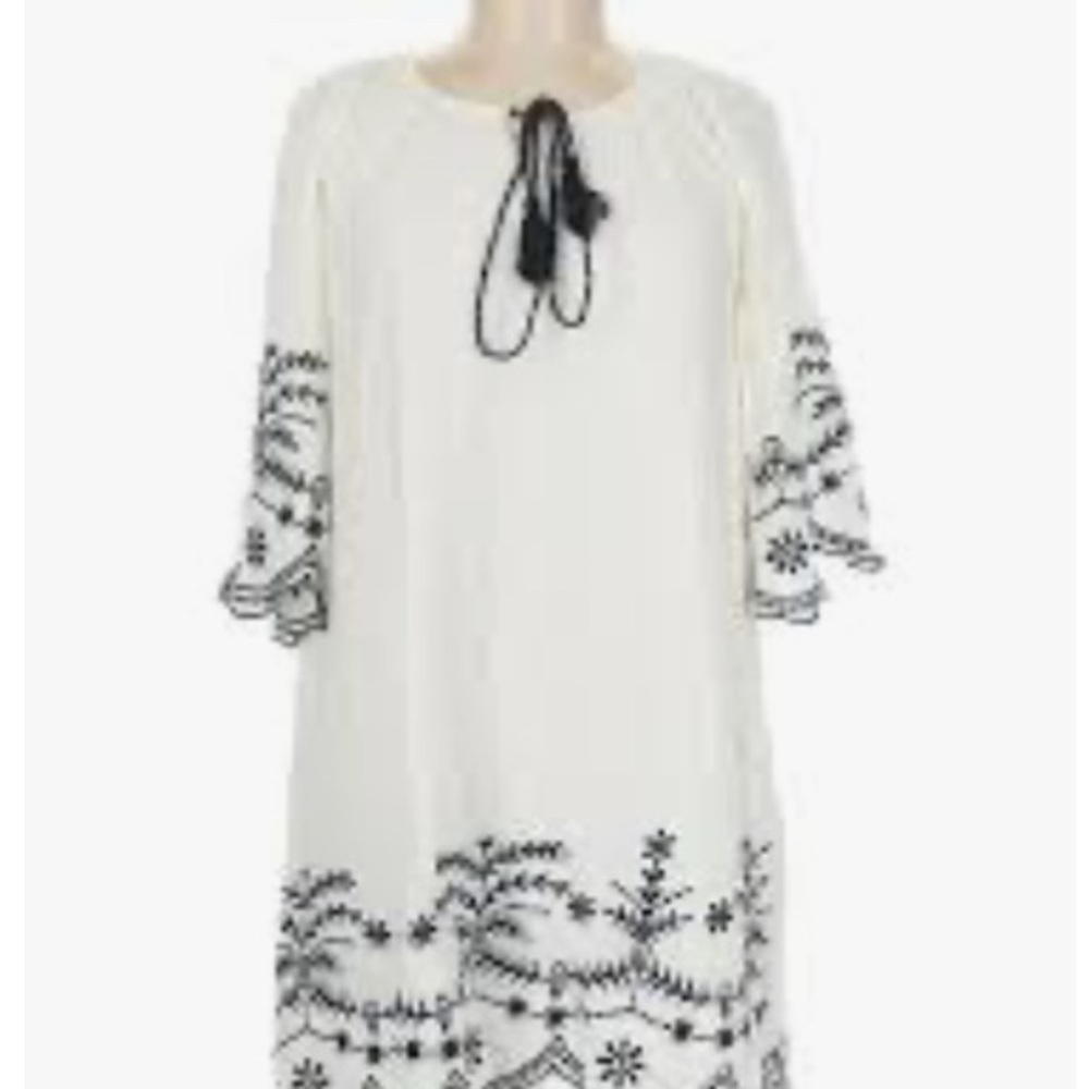 Chic Connections Embroidered Dress
